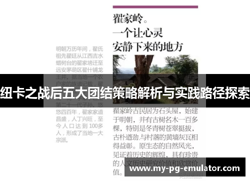 纽卡之战后五大团结策略解析与实践路径探索
