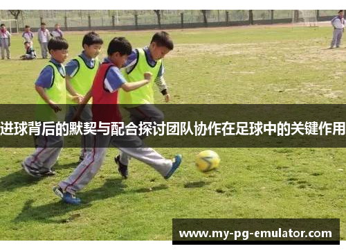 进球背后的默契与配合探讨团队协作在足球中的关键作用