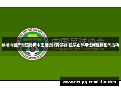 孙准浩因严重违纪被中国足协终身禁赛 且禁止参与任何足球相关活动 孙准浩因严重违纪被中国足协终身禁赛 且禁止参与任何足球相关活动
